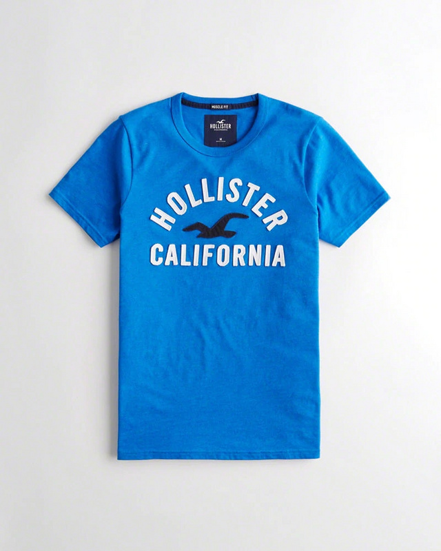 Hollister Men's T-shirts 178